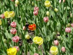 DSC00816.JPG