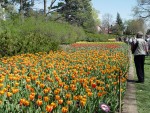 DSC00840.JPG