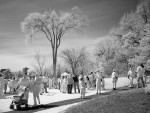 DSC00862.JPG