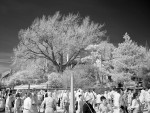 DSC00863.JPG