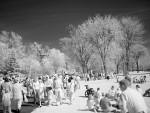 DSC00864.JPG