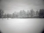 DSC00275