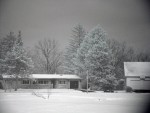 DSC00279