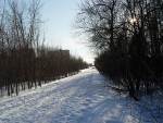 DSC00005