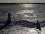 DSC00007