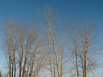 DSC00010