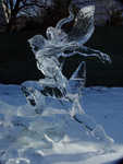 DSC06797.jpg
