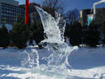 DSC06799.jpg